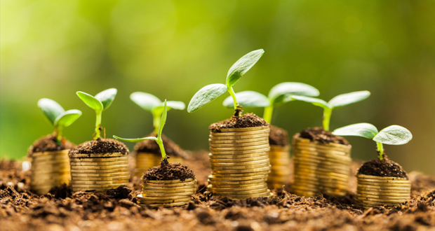 ندوات تفاعلية شهرية