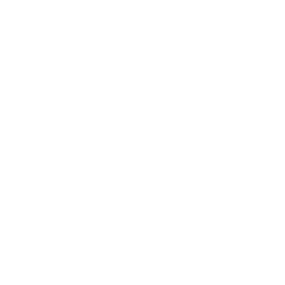 برنامج دعم المؤسسات الناشئة
